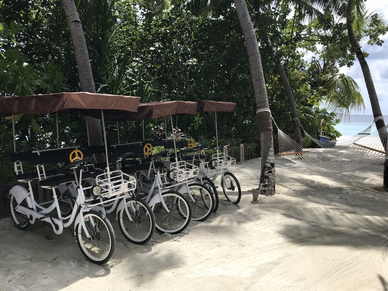 Biciclete albe aliniate lângă palmieri și nisip