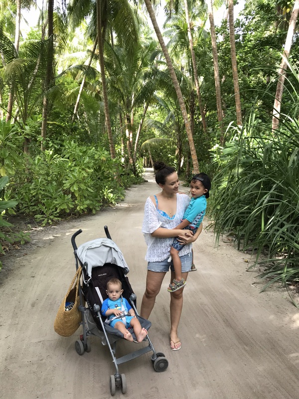 Persoană împingând cărucior pe o alee tropicală