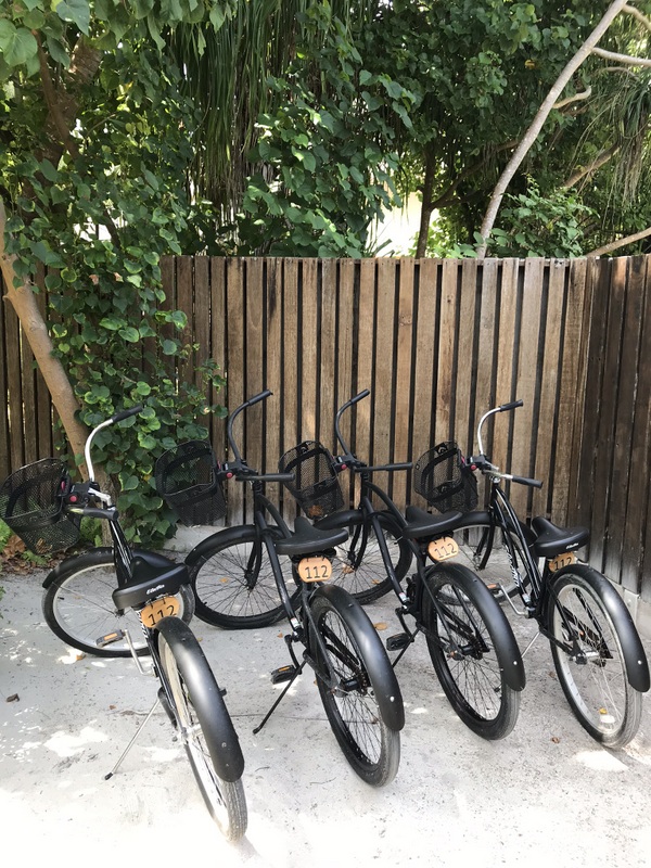 Biciclete aliniate lângă un gard de lemn