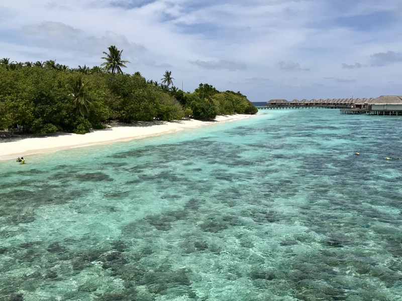 Apă limpede turcoaz de-a lungul unei plaje tropicale