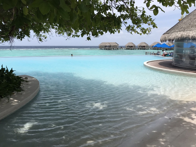 Piscină curbată lângă mare și un arbore