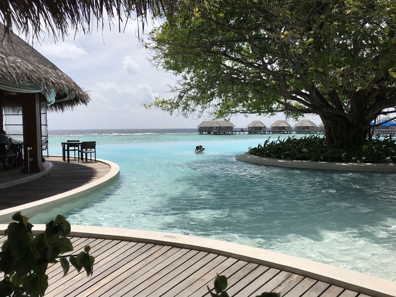 Piscină curbată între clădiri și vegetație tropicală
