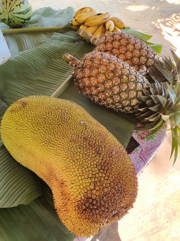 Fructe tropicale, inclusiv ananas, expuse pe frunze