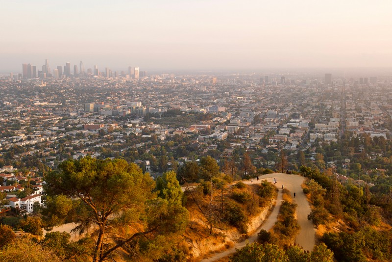 Los Angeles văzut de pe un deal cu vegetație