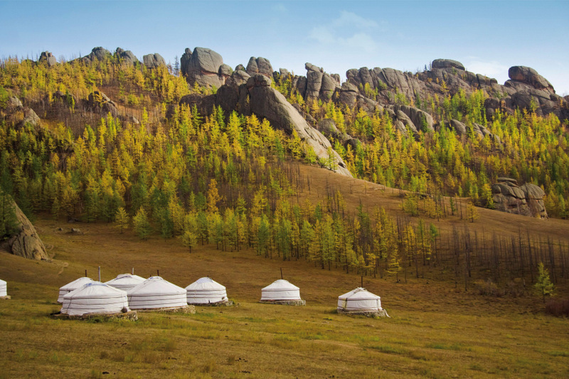 Iurte albe pe o pajiște lângă pădure