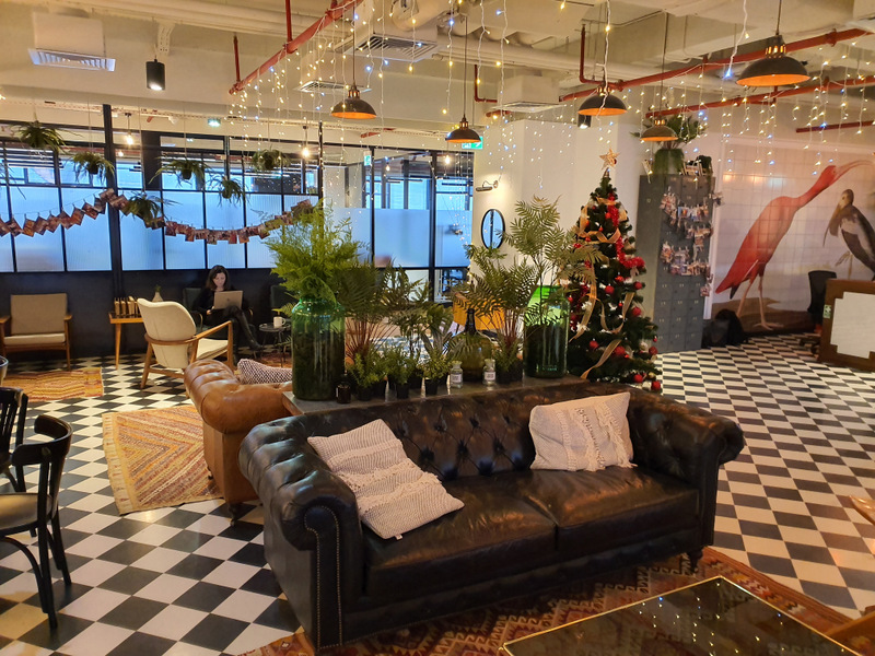 Lounge cu fotolii, plante și mobilier din lemn