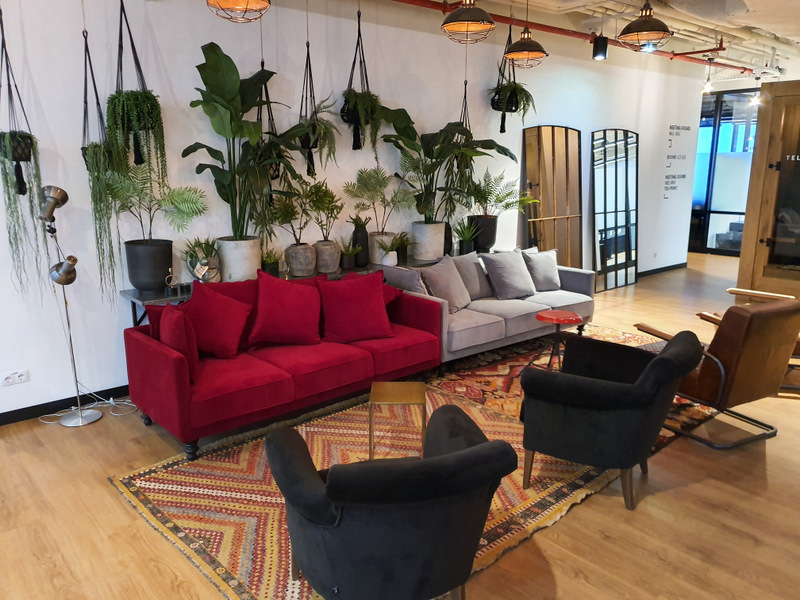 Lounge cu canapea roșie, fotolii și plante