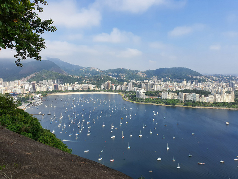 Golf și clădiri din Rio de Janeiro, printre arbori
