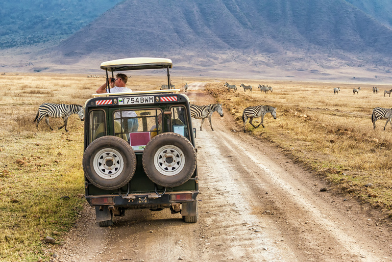 Vehicul de safari pe un drum lângă munți