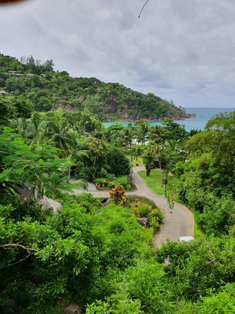 Grădină tropicală cu alei între dealuri verzi