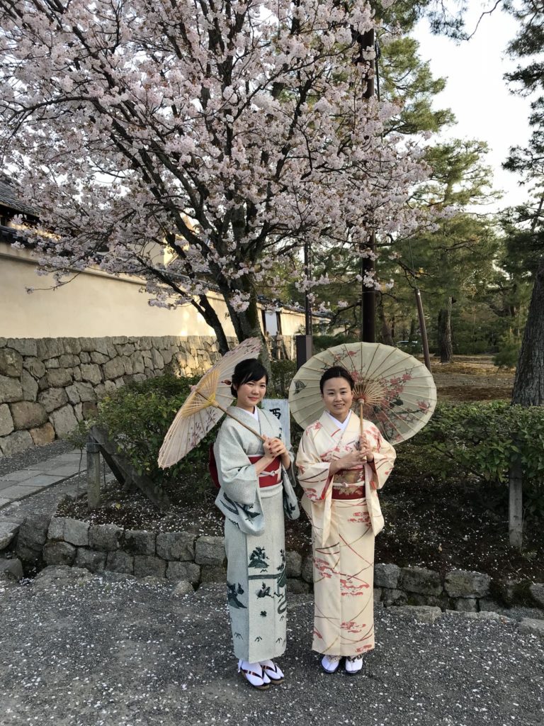 Două femei în kimono cu umbrele sub un copac înflorit