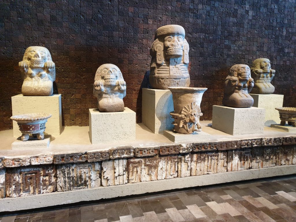 Capete sculptate expuse pe socluri într-un spațiu muzeal.