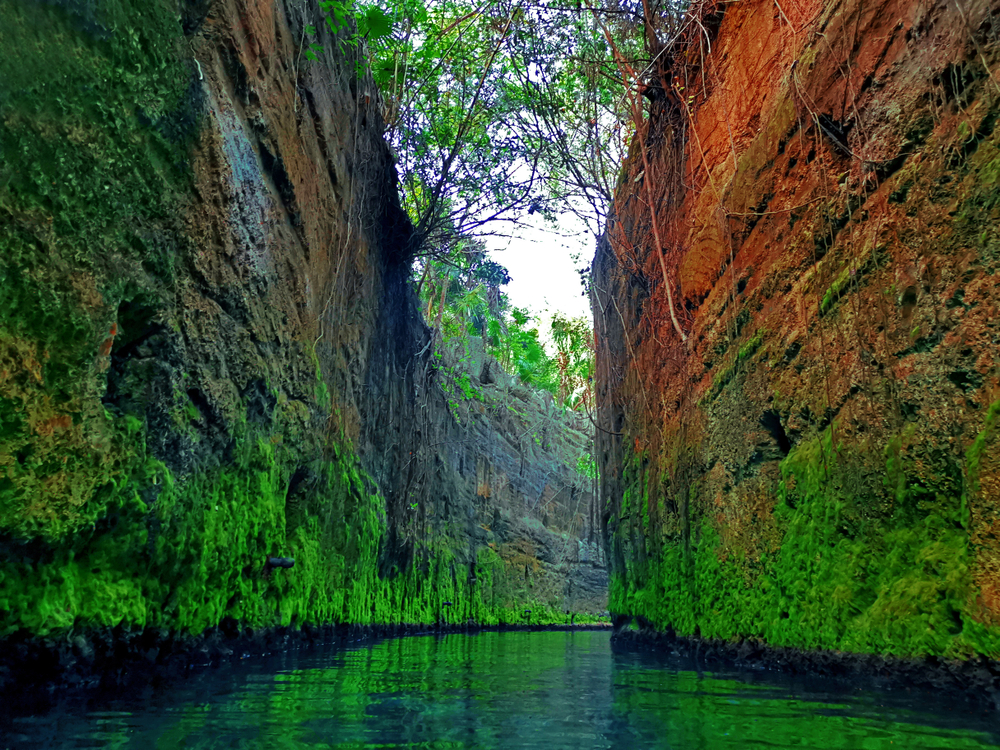 Canal îngust cu apă verde între pereți stâncoși acoperiți de vegetație.