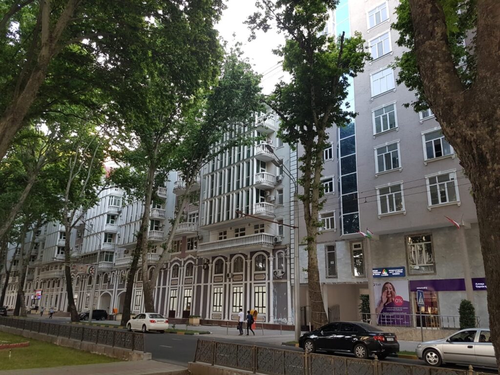 Stradă umbrită de arbori lângă clădiri cu mai multe etaje