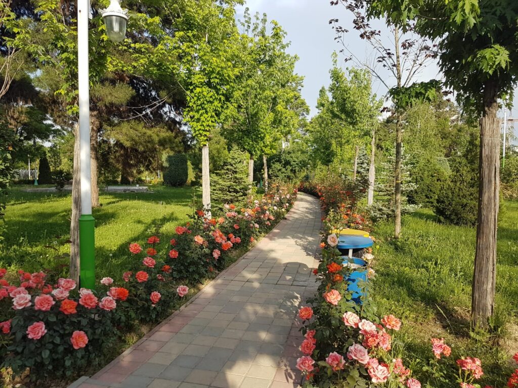 Alee îngustă de grădină mărginită de flori roz