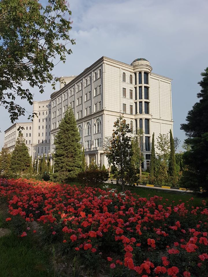 Clădire înaltă lângă ronduri cu flori roșii