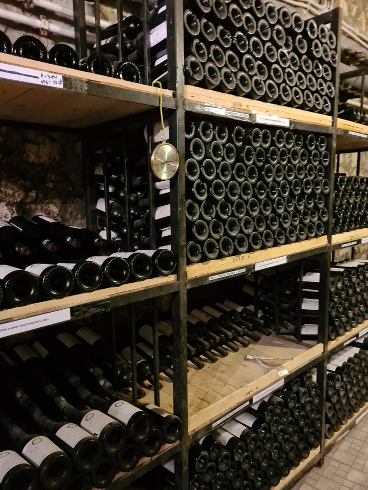 Rafturi din lemn cu sticle de vin depozitate orizontal