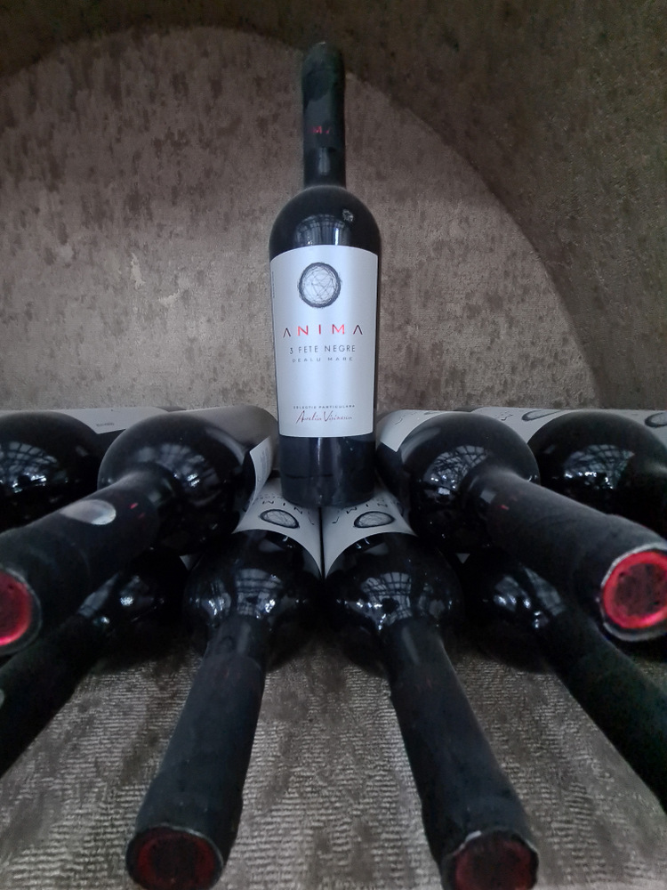 Sticlă de vin în poziție verticală între sticle culcate