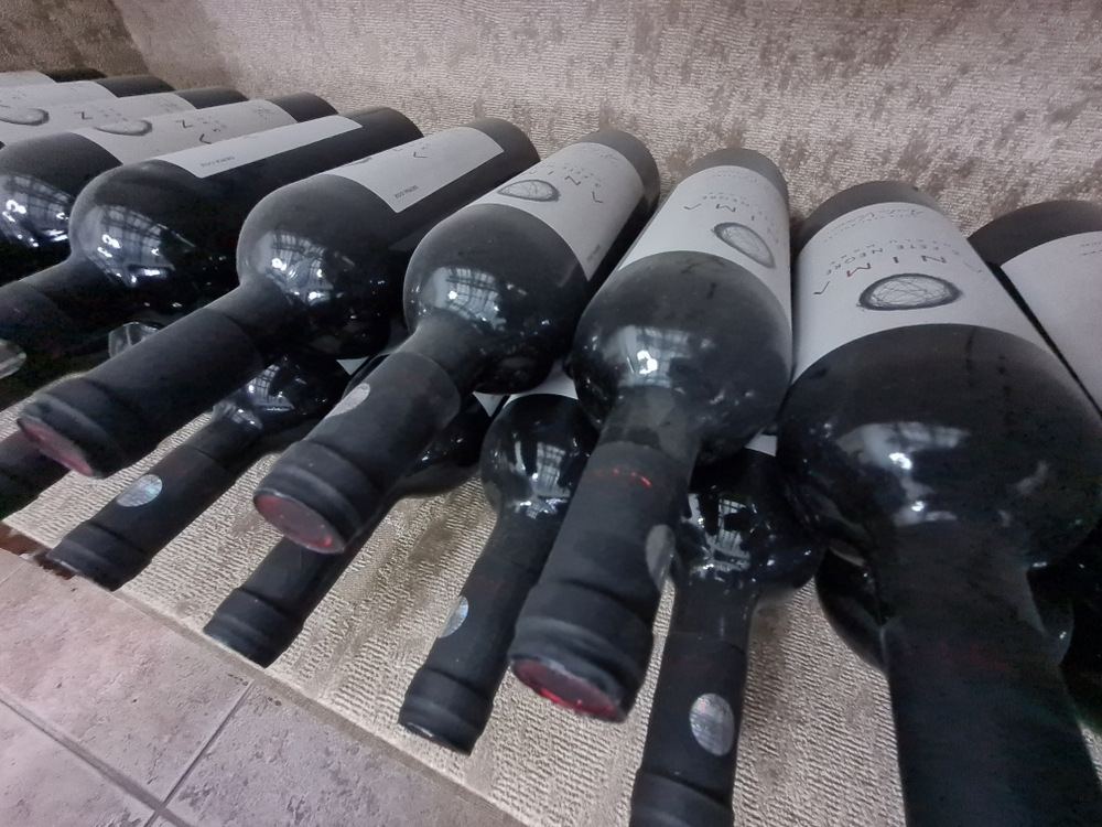 Sticle de vin depozitate orizontal pe rafturi într-o nișă