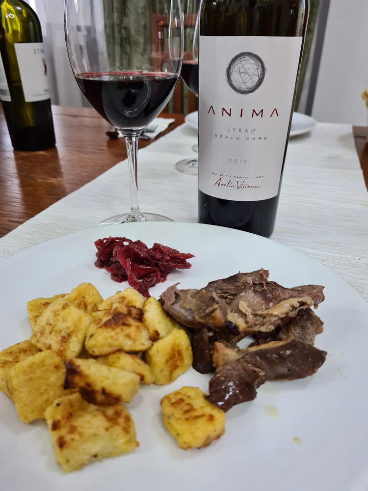 Farfurie cu carne și garnitură lângă vin Anima
