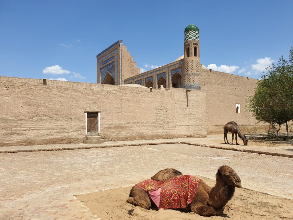 Cămilă culcată lângă ziduri istorice și minaret cu ceramică verde