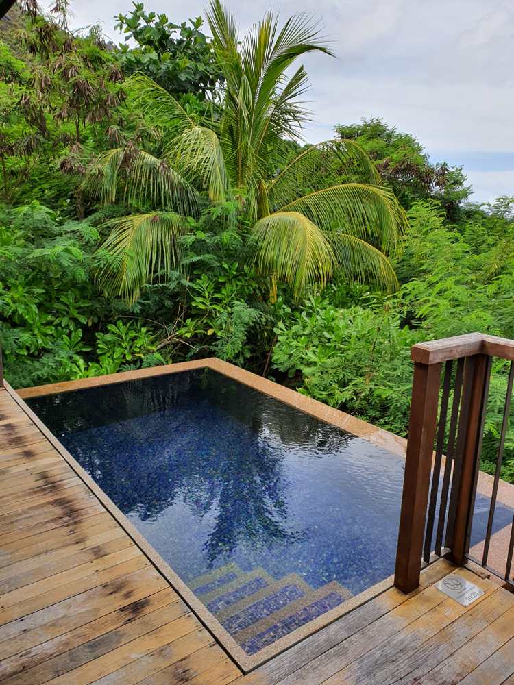 Piscină mică lângă terasă de lemn și vegetație tropicală