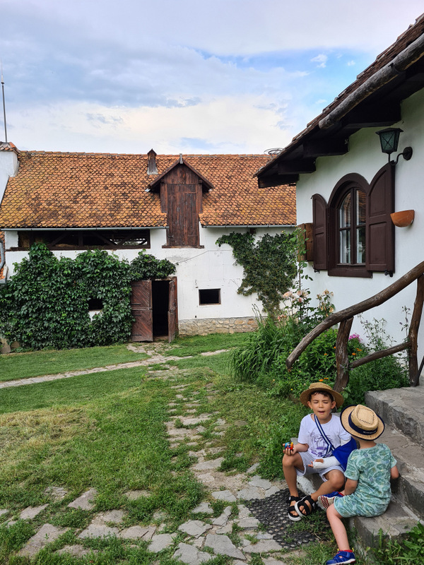 Doi copii așezați lângă o casă albă, într-o curte cu iarbă