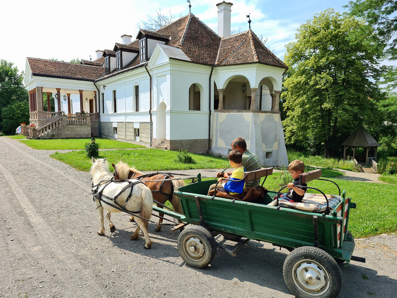 Căruță cu ponei și pasageri trecând prin fața unei clădiri albe cu arcade.