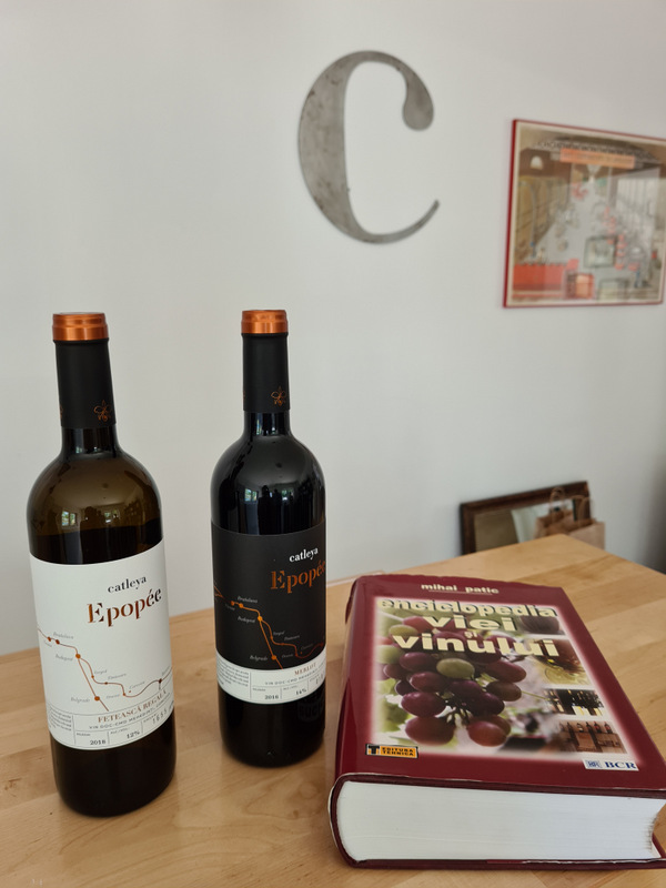 Două sticle de vin lângă o carte așezată pe masă.
