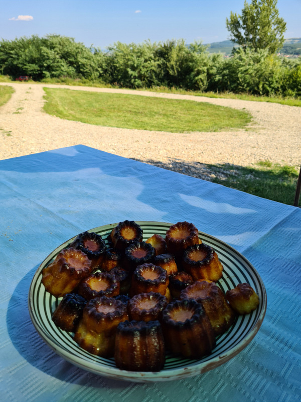 Platou cu prăjituri rumenite pe o masă, cu grădina în fundal.