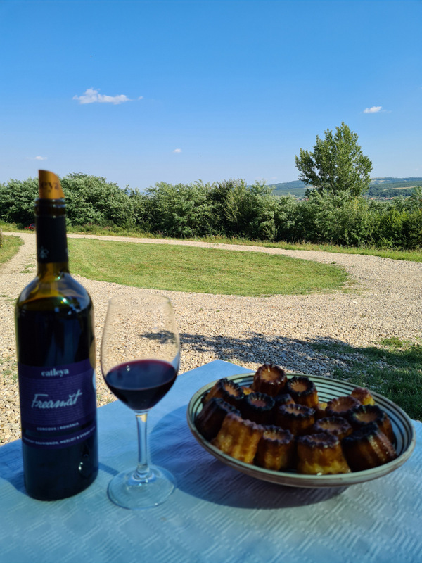 Sticlă de vin, pahar și platou cu prăjituri pe o masă în grădină.