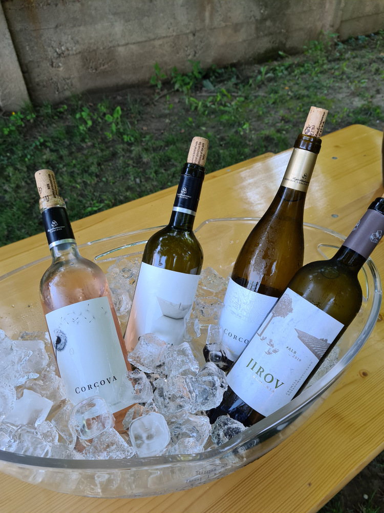 Sticle de vin răcite într-un vas cu gheață pe o masă în aer liber.