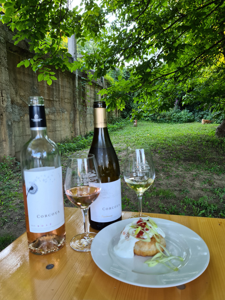 Două sticle de vin și un preparat pe farfurie într-o grădină.