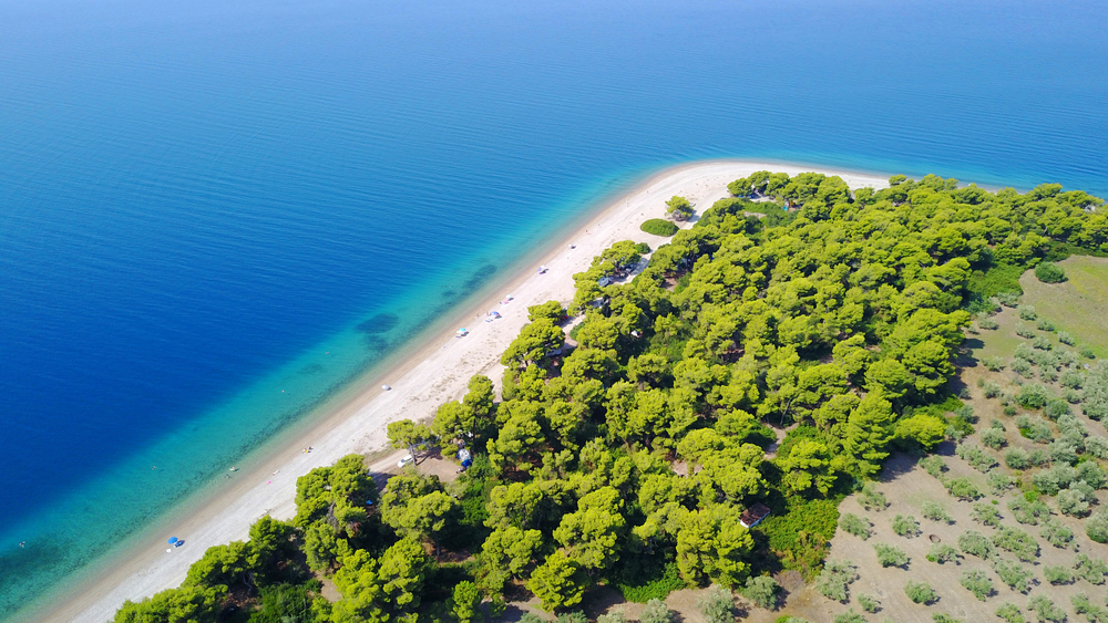 Fâșie de plajă lângă pădure și mare albastră