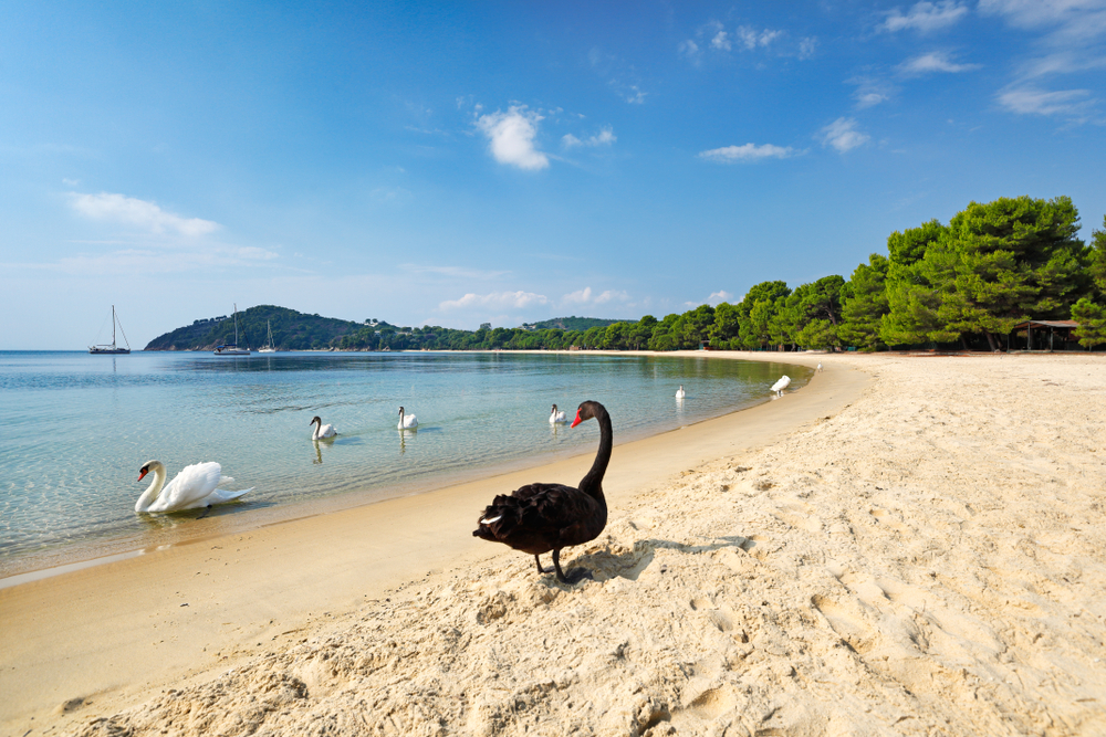 Plaja Koukounaries de pe insula Skiathos