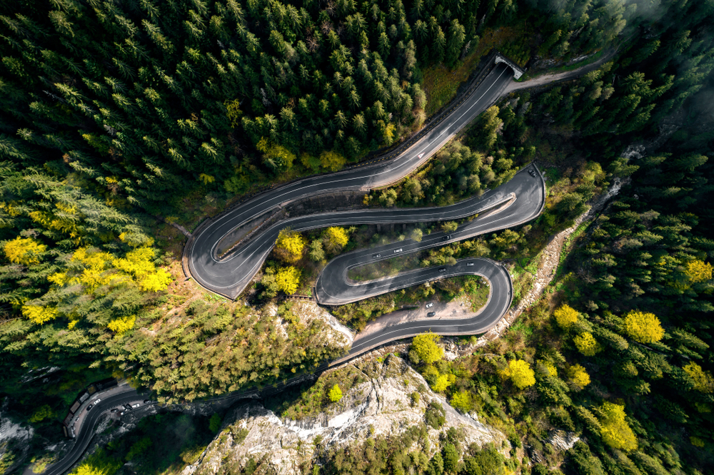 Serpentine strânse prin pădure, văzute de sus