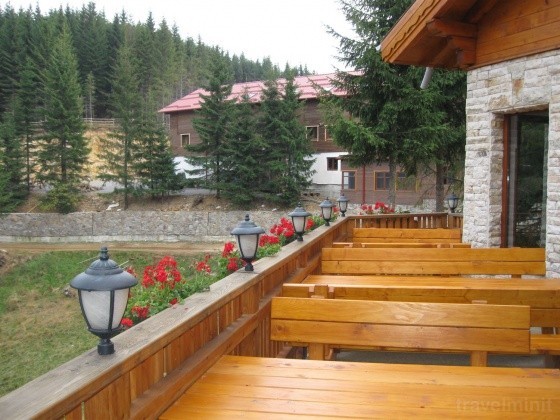 Terasă cu mese și bănci din lemn, lângă pădure.