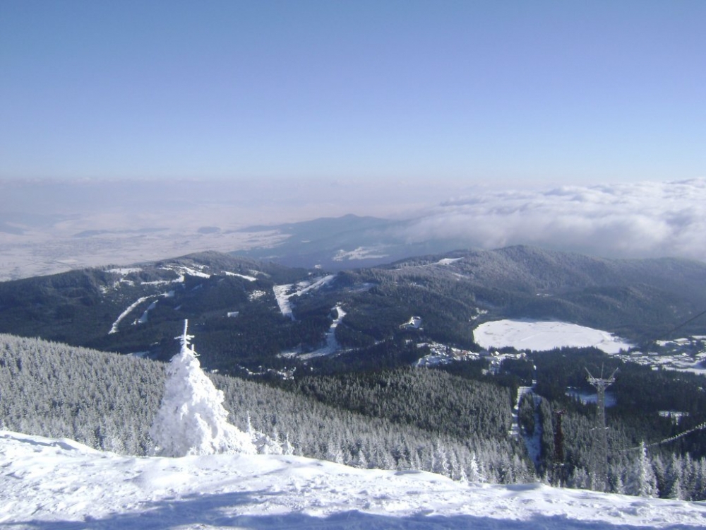 Panoramă cu munți, păduri și pante acoperite de zăpadă.