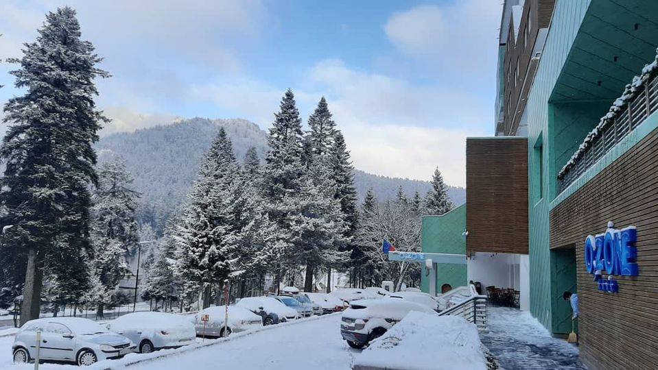 Brazi înzăpeziți și munți lângă fațada unei clădiri.