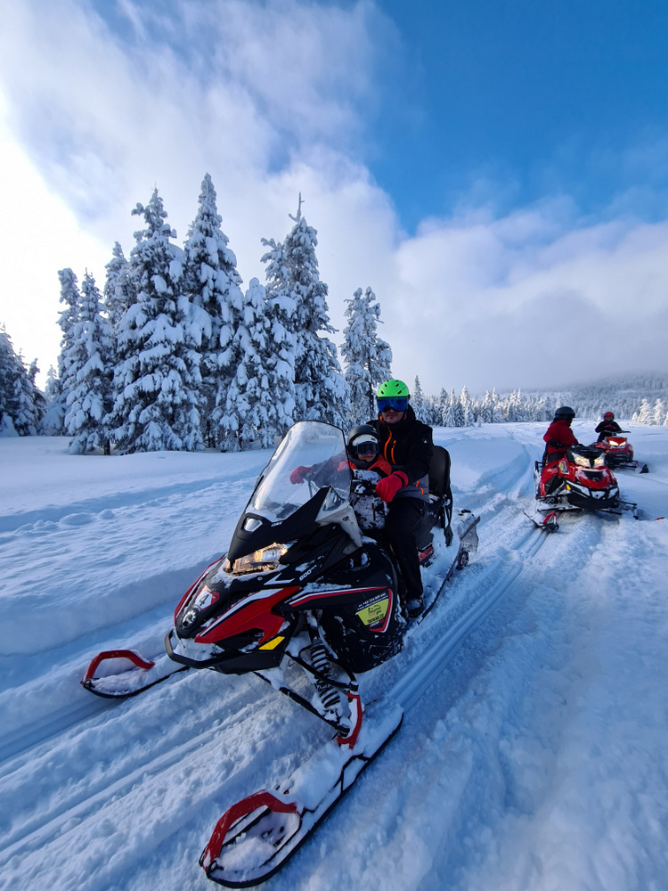 Snowmobile și persoane pe un traseu printre brazi înzăpeziți