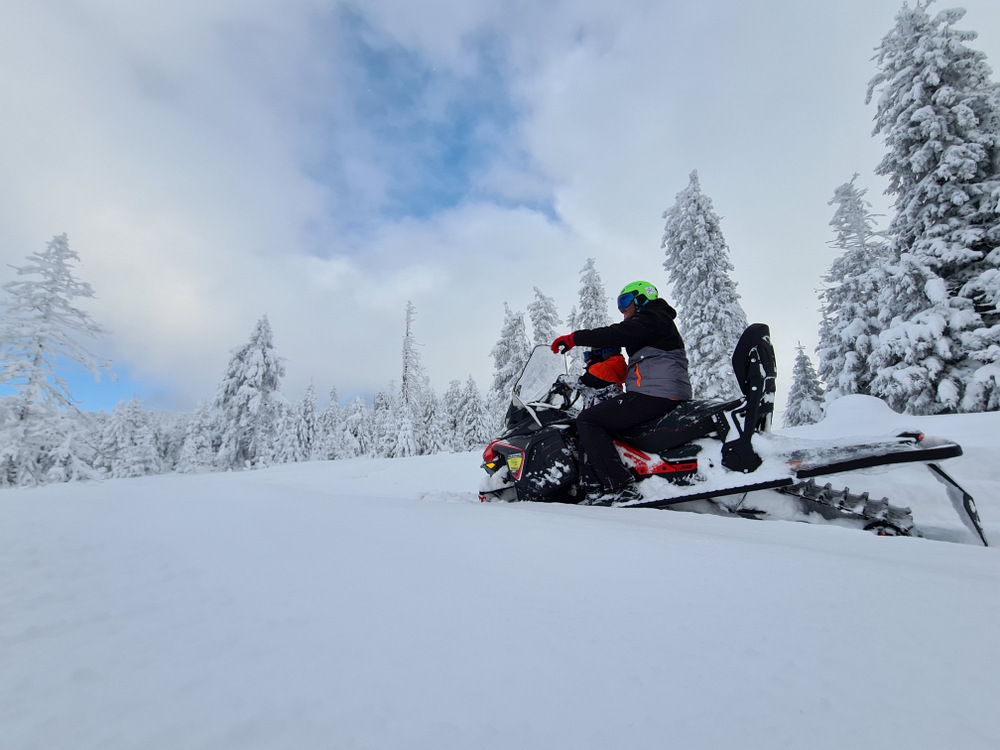 Snowmobil parcat într-un peisaj montan cu brazi înzăpeziți