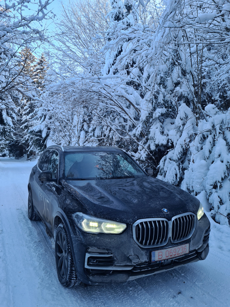 Partea frontală a unei mașini între arbori încărcați de zăpadă.