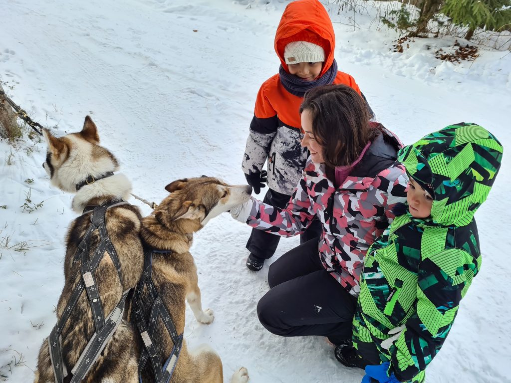 Copii și un adult lângă câini pe zăpadă.
