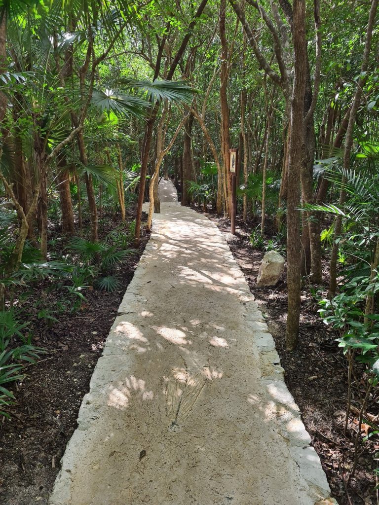 Alee din piatră, printre arbori și plante tropicale