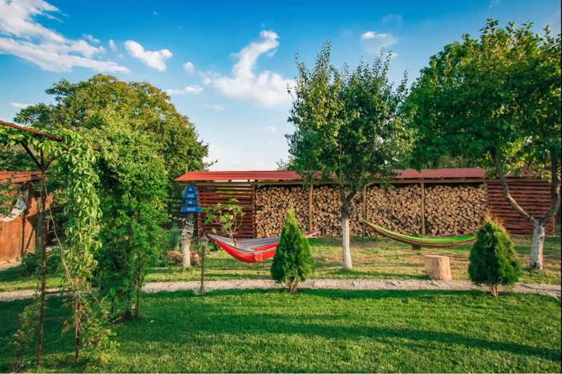 Grădină cu gazon, hamac, arbuști și gard din lemn.