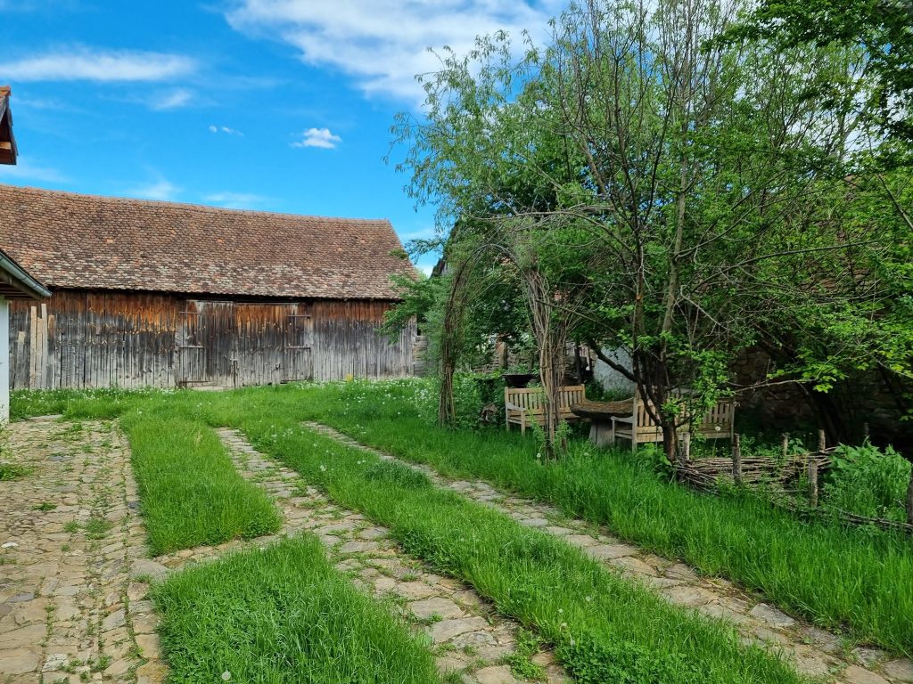 Alee cu fâșii de iarbă într-o curte cu arbori și clădiri rurale.