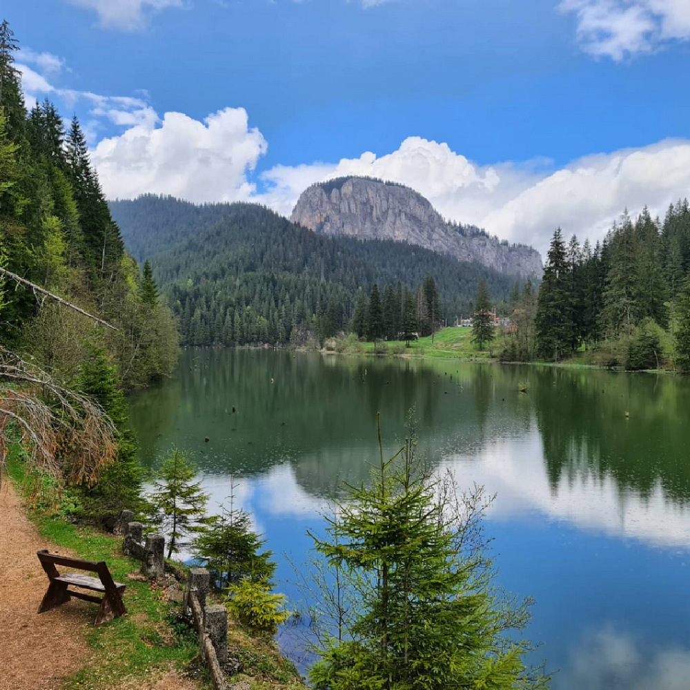 Lacul Roșu reflectând munții și pădurea de pe mal