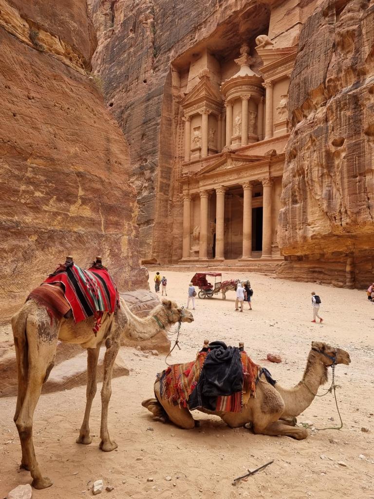 Cămile odihnindu-se, în fața monumentului din Petra