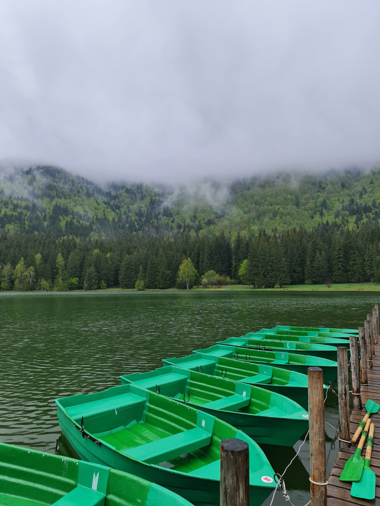 Bărci verzi aliniate lângă ponton, pe un lac.