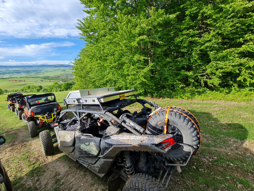 Vehicule buggy parcate pe un drum lângă pădure